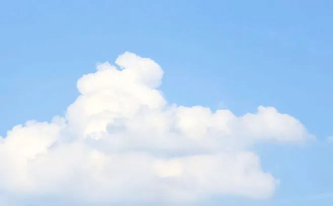 2628